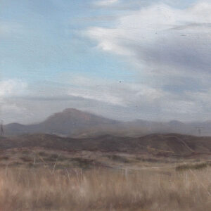 Pintura al óleo "¡CALIENTE! Lagunita en llamas I" de Daniel Castro.